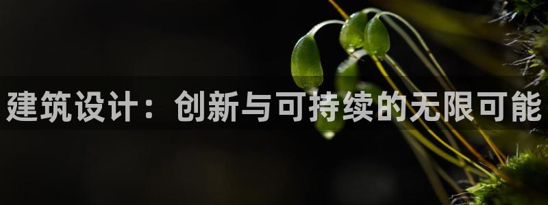 清远顺盈娱乐公司推荐