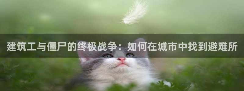 顺盈娱乐棋牌官网