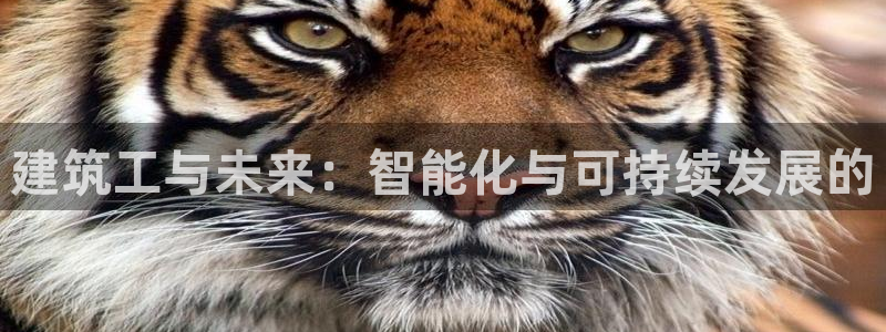 顺盈娱乐指究7276O