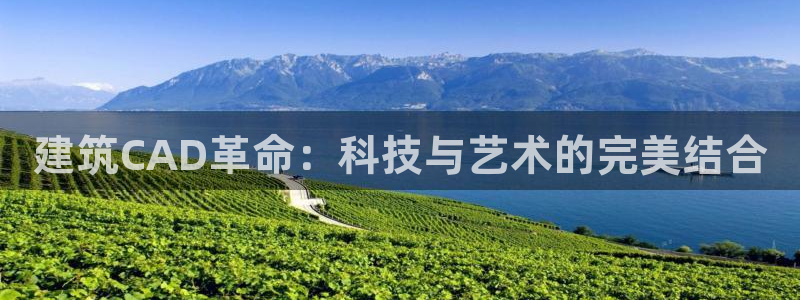 顺盈2娱乐在线教育