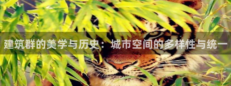顺盈娱乐各究7276O