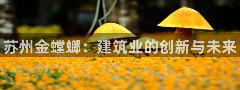 盈顺棋牌娱乐室电话号码