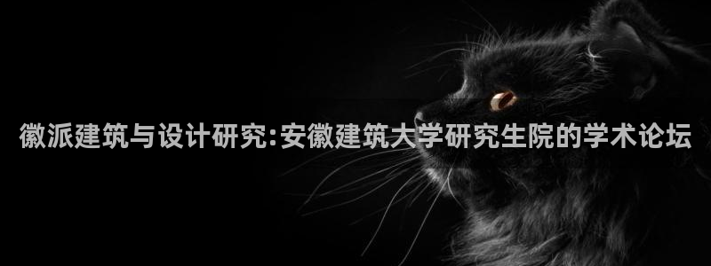 清远顺盈娱乐怎么样啊：徽派建筑与设计研究:安徽建筑大学研究生院的学术论坛
