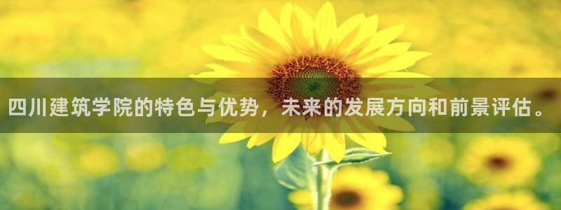 盈顺休闲娱乐室：四川建筑学院的特色与优势，未来的发展方向和前景评估。