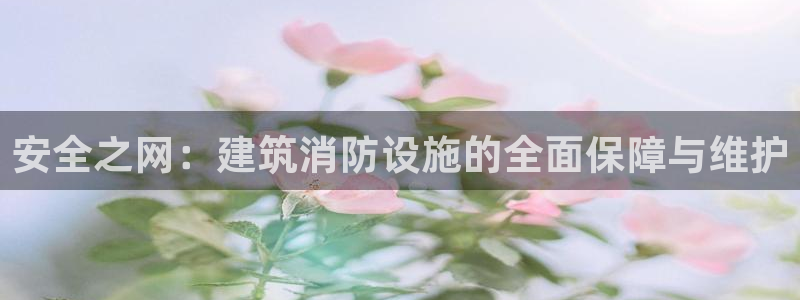 顺盈娱乐下载安装最新版