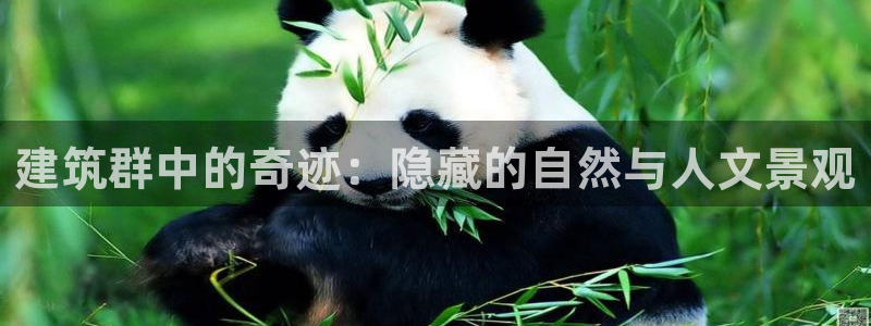 盈顺娱乐休闲室电话