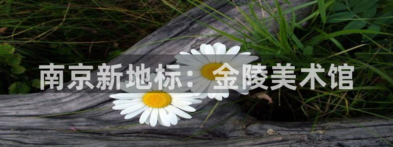 盈顺娱乐休闲室