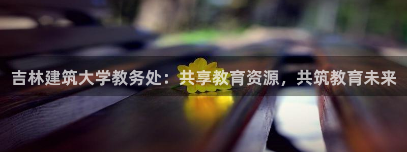 清远顺盈娱乐集团地址