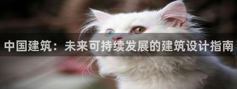 清远顺盈娱乐公司招聘吗