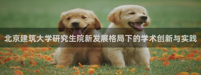 顺盈娱乐注册细7o777