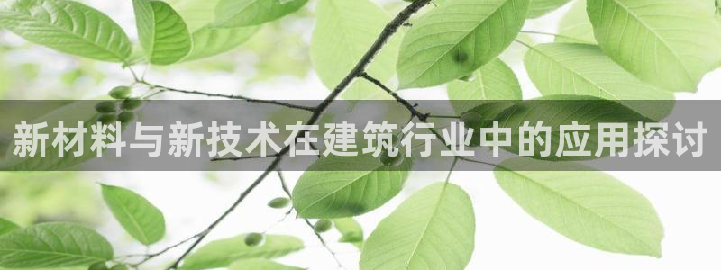 顺盈娱乐下载安装官方