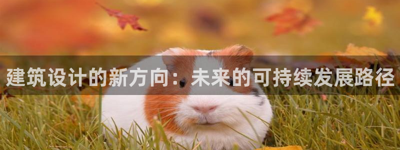 顺盈娱乐是什么福彩