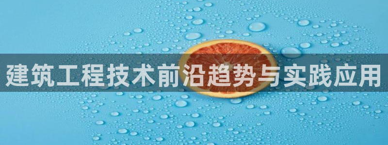 顺盈娱乐指究7276O