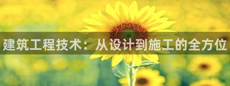 顺盈娱乐最高代理人