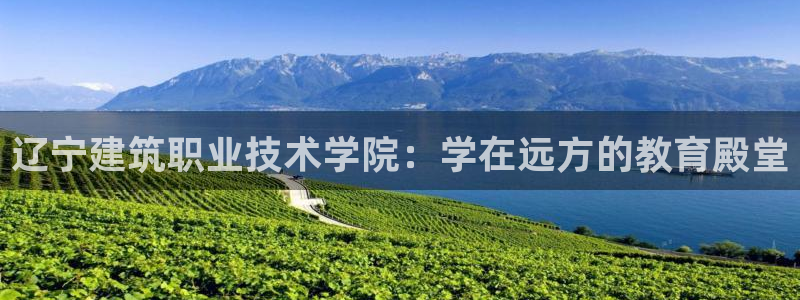 顺盈娱乐平台最新活动