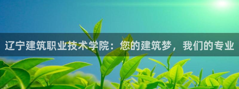 顺盈娱乐登录平台网址